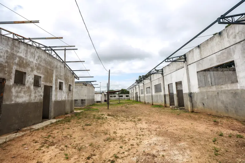  <div class='credito_fotos'>Foto: Bruno Cruz / Ag. Pará &nbsp;&nbsp;|&nbsp;&nbsp; <a href='/midias/2025/originais/20250221105844-GF00023047-F00379463.jpg' download><i class='fa-solid fa-download'></i> Download</a></div>