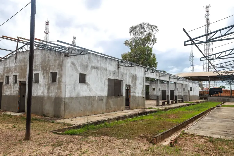  <div class='credito_fotos'>Foto: Bruno Cruz / Ag. Pará &nbsp;&nbsp;|&nbsp;&nbsp; <a href='/midias/2025/originais/20250221105847-GF00023047-F00379465.jpg' download><i class='fa-solid fa-download'></i> Download</a></div>