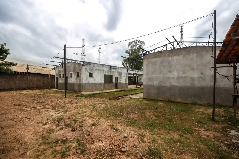  <div class='credito_fotos'>Foto: Bruno Cruz / Ag. Pará &nbsp;&nbsp;|&nbsp;&nbsp; <a href='/midias/2025/originais/20250221105849-GF00023047-F00379466.jpg' download><i class='fa-solid fa-download'></i> Download</a></div>