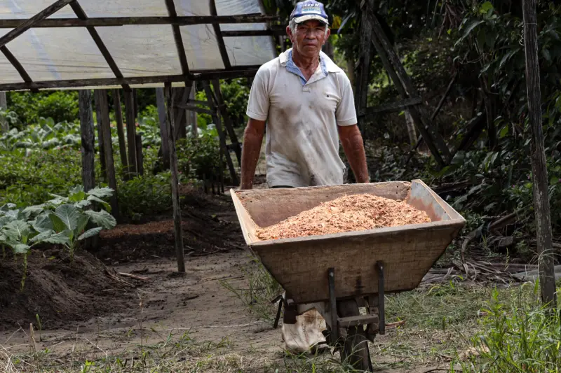  <div class='credito_fotos'>Foto: Alex Ribeiro / Ag. Pará &nbsp;&nbsp;|&nbsp;&nbsp; <a href='/midias/2025/originais/20250221113602-GF00023049-F00379520.jpg' download><i class='fa-solid fa-download'></i> Download</a></div>