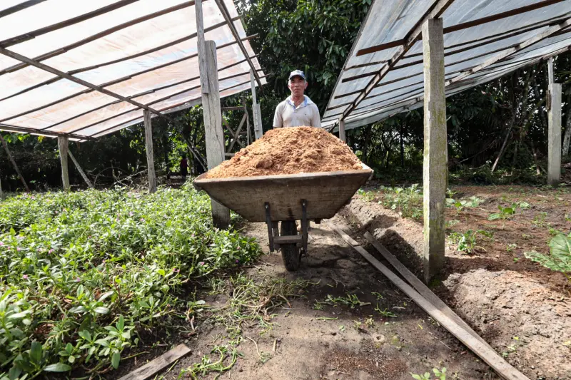  <div class='credito_fotos'>Foto: Alex Ribeiro / Ag. Pará &nbsp;&nbsp;|&nbsp;&nbsp; <a href='/midias/2025/originais/20250221113611-GF00023049-F00379528.jpg' download><i class='fa-solid fa-download'></i> Download</a></div>