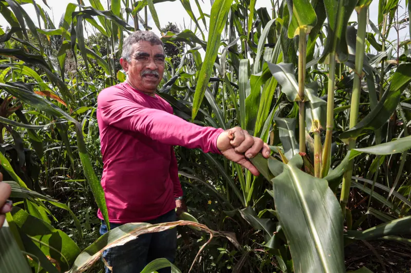  <div class='credito_fotos'>Foto: Alex Ribeiro / Ag. Pará &nbsp;&nbsp;|&nbsp;&nbsp; <a href='/midias/2025/originais/20250221113613-GF00023049-F00379529.jpg' download><i class='fa-solid fa-download'></i> Download</a></div>