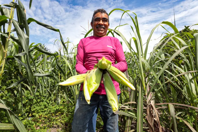  <div class='credito_fotos'>Foto: Alex Ribeiro / Ag. Pará &nbsp;&nbsp;|&nbsp;&nbsp; <a href='/midias/2025/originais/20250221113615-GF00023049-F00379531.jpg' download><i class='fa-solid fa-download'></i> Download</a></div>