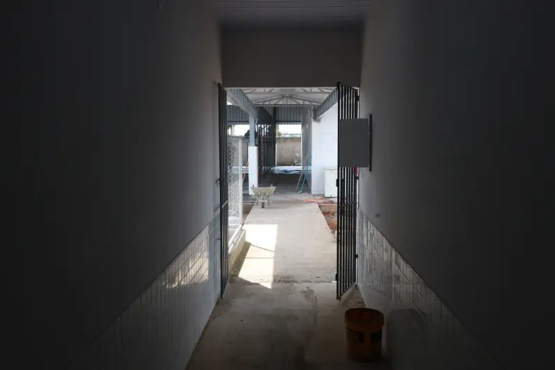  <div class='credito_fotos'>Foto: Bruno Cruz / Ag. Pará &nbsp;&nbsp;|&nbsp;&nbsp; <a href='/midias/2025/originais/20250221115032-GF00023050-F00379552.jpg' download><i class='fa-solid fa-download'></i> Download</a></div>