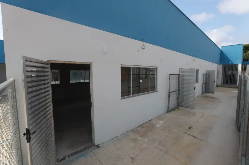  <div class='credito_fotos'>Foto: Bruno Cruz / Ag. Pará &nbsp;&nbsp;|&nbsp;&nbsp; <a href='/midias/2025/originais/20250221115040-GF00023050-F00379558.jpg' download><i class='fa-solid fa-download'></i> Download</a></div>