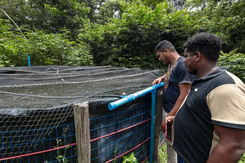  <div class='credito_fotos'>Foto: Alex Ribeiro / Ag. Pará &nbsp;&nbsp;|&nbsp;&nbsp; <a href='/midias/2025/originais/20250228152848-GF00023132-F00382162.jpg' download><i class='fa-solid fa-download'></i> Download</a></div>