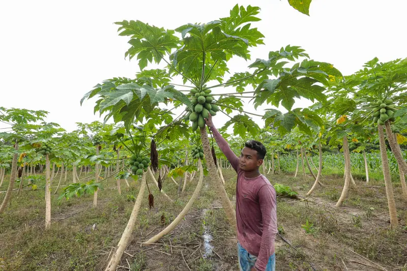  <div class='credito_fotos'>Foto: Alex Ribeiro / Ag. Pará &nbsp;&nbsp;|&nbsp;&nbsp; <a href='/midias/2025/originais/20250228152905-GF00023132-F00382177.jpg' download><i class='fa-solid fa-download'></i> Download</a></div>