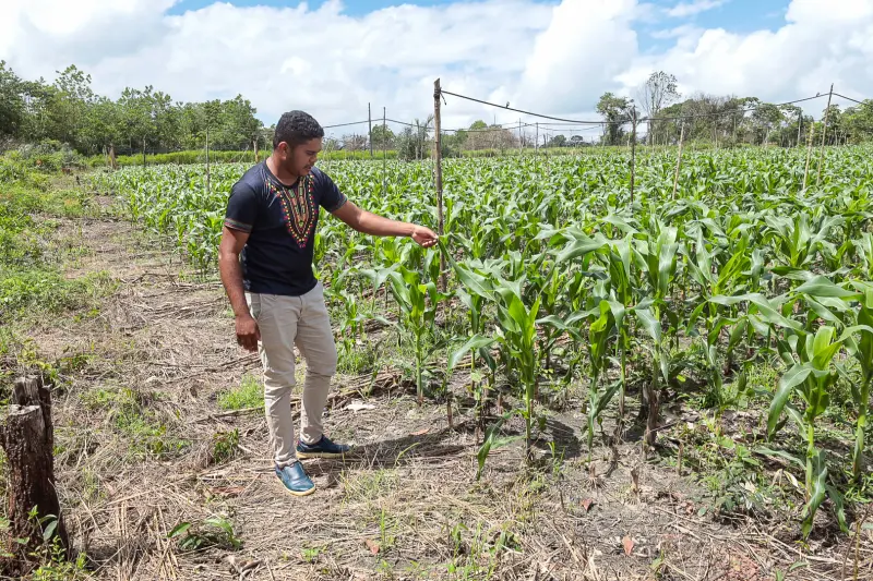 Antônio Araújo <div class='credito_fotos'>Foto: Alex Ribeiro / Ag. Pará &nbsp;&nbsp;|&nbsp;&nbsp; <a href='/midias/2025/originais/20250228152910-GF00023132-F00382181.jpg' download><i class='fa-solid fa-download'></i> Download</a></div>