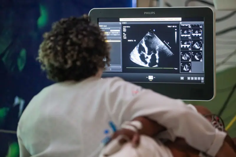  <div class='credito_fotos'>Foto: Pedro Guerreiro / Ag. Pará &nbsp;&nbsp;|&nbsp;&nbsp; <a href='/midias/2025/originais/20250228183322-GF00023133-F00382202.jpg' download><i class='fa-solid fa-download'></i> Download</a></div>