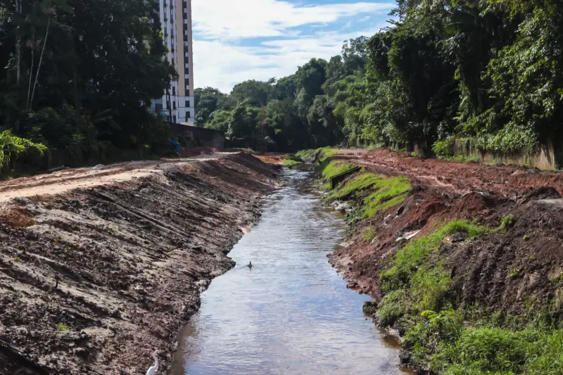  <div class='credito_fotos'>Foto: Alex Ribeiro / Ag. Pará &nbsp;&nbsp;|&nbsp;&nbsp; <a href='/midias/2025/originais/20250307100932-GF00023141-F00382738.jpg' download><i class='fa-solid fa-download'></i> Download</a></div>