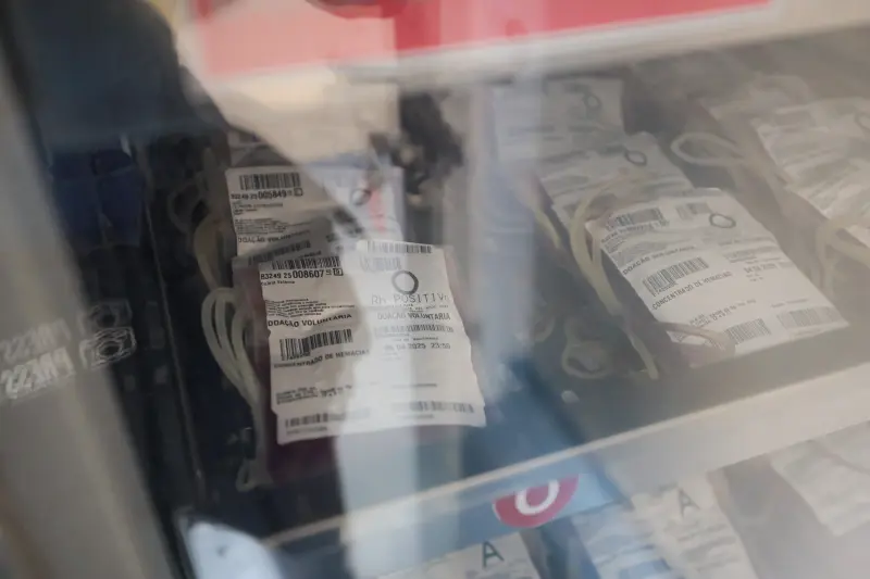  <div class='credito_fotos'>Foto: Pedro Guerreiro / Ag. Pará &nbsp;&nbsp;|&nbsp;&nbsp; <a href='/midias/2025/originais/20250308134641-GF00023154-F00383041.jpg' download><i class='fa-solid fa-download'></i> Download</a></div>