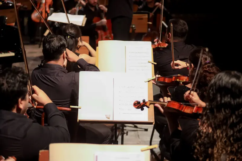  <div class='credito_fotos'>Foto: Rodrigo Pinheiro / Ag.Pará &nbsp;&nbsp;|&nbsp;&nbsp; <a href='/midias/2025/originais/20250312221547-GF00023187-F00384099.jpg' download><i class='fa-solid fa-download'></i> Download</a></div>