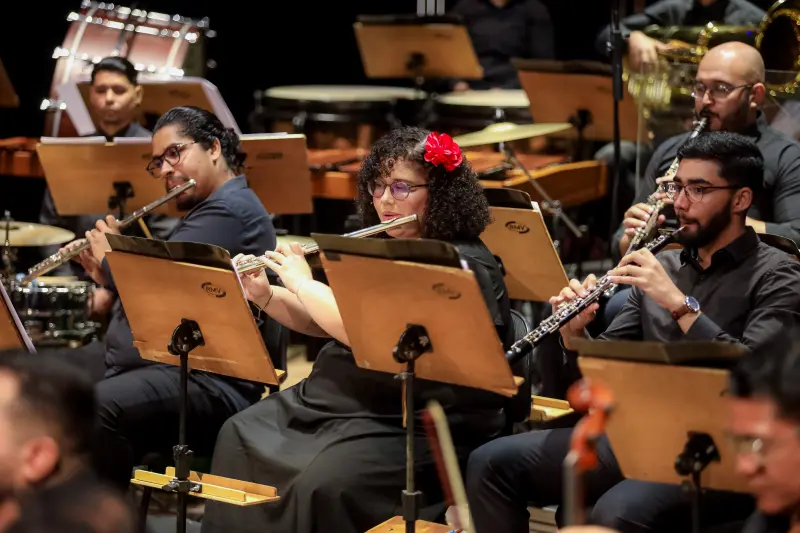  <div class='credito_fotos'>Foto: Rodrigo Pinheiro / Ag.Pará &nbsp;&nbsp;|&nbsp;&nbsp; <a href='/midias/2025/originais/20250312221632-GF00023187-F00384125.jpg' download><i class='fa-solid fa-download'></i> Download</a></div>