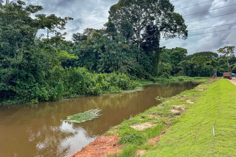  <div class='credito_fotos'>Foto: Cássio Matos / Ag.Pará  &nbsp;&nbsp;|&nbsp;&nbsp; <a href='/midias/2025/originais/20250313135716-GF00023194-F00384461.jpg' download><i class='fa-solid fa-download'></i> Download</a></div>