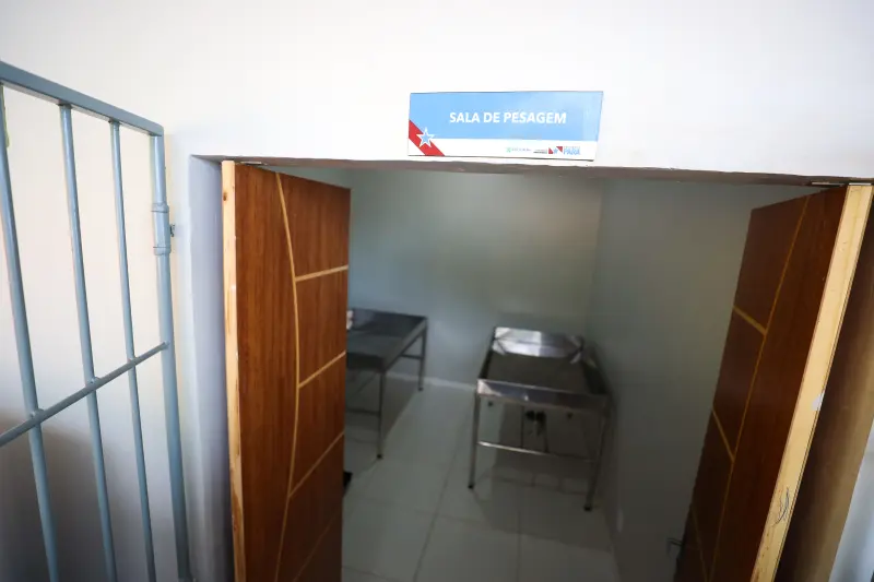  <div class='credito_fotos'>Foto: Rodrigo Pinheiro / Ag.Pará &nbsp;&nbsp;|&nbsp;&nbsp; <a href='/midias/2025/originais/20250314132444-GF00023210-F00384721.jpg' download><i class='fa-solid fa-download'></i> Download</a></div>