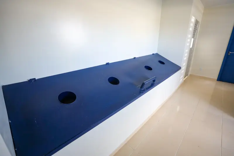  <div class='credito_fotos'>Foto: Rodrigo Pinheiro / Ag.Pará &nbsp;&nbsp;|&nbsp;&nbsp; <a href='/midias/2025/originais/20250314135158-GF00023212-F00384772.jpg' download><i class='fa-solid fa-download'></i> Download</a></div>