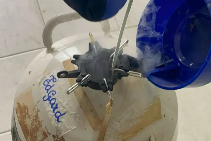 Sedap repassa material de alta qualidade genérica às prefeituras para posterior repasse aos produtores 