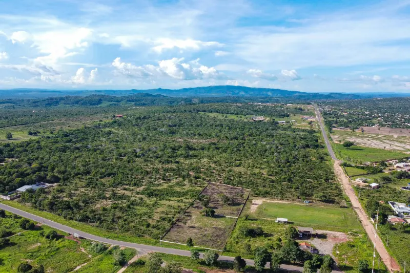 DCIM\100MEDIA\DJI_0815.JPG <div class='credito_fotos'>Foto: Augusto Miranda / Ag. Pará &nbsp;&nbsp;|&nbsp;&nbsp; <a href='/midias/2025/originais/20250314173744-GF00023215-F00384877.jpg' download><i class='fa-solid fa-download'></i> Download</a></div>