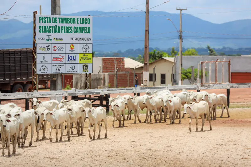  <div class='credito_fotos'>Foto: Bruno Cruz / Ag. Pará &nbsp;&nbsp;|&nbsp;&nbsp; <a href='/midias/2025/originais/20250315130732-GF00023223-F00385181.jpg' download><i class='fa-solid fa-download'></i> Download</a></div>