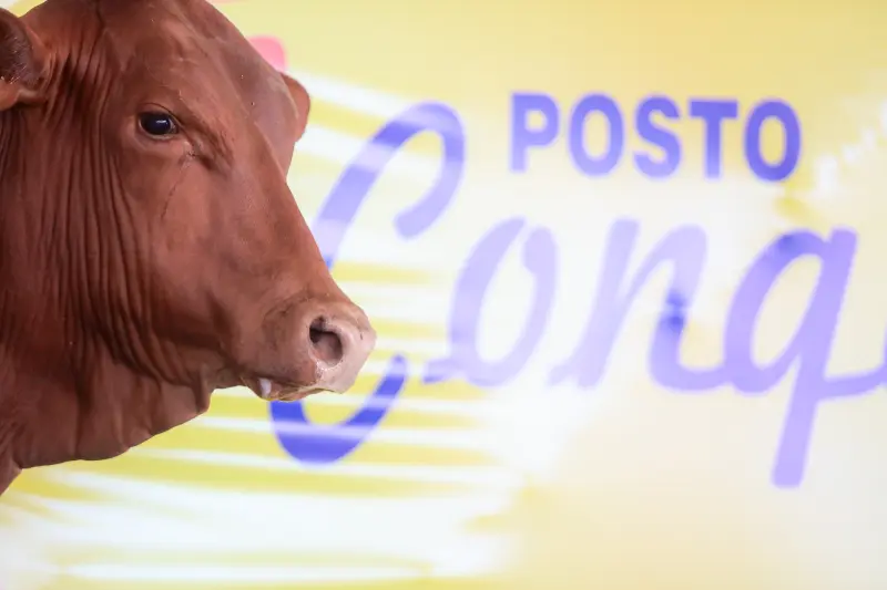  <div class='credito_fotos'>Foto: Bruno Cruz / Ag. Pará &nbsp;&nbsp;|&nbsp;&nbsp; <a href='/midias/2025/originais/20250315130808-GF00023223-F00385206.jpg' download><i class='fa-solid fa-download'></i> Download</a></div>