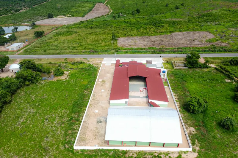  <div class='credito_fotos'>Foto: Augusto Miranda / Ag. Pará &nbsp;&nbsp;|&nbsp;&nbsp; <a href='/midias/2025/originais/20250315164333-GF00023228-F00385396.jpg' download><i class='fa-solid fa-download'></i> Download</a></div>