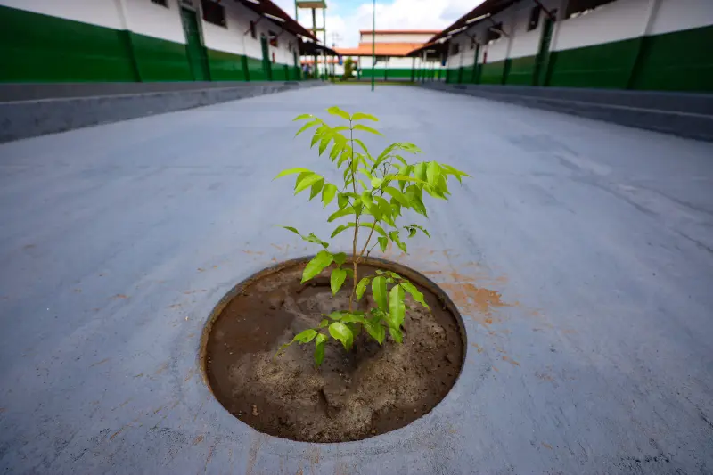  <div class='credito_fotos'>Foto: Bruno Cruz / Ag. Pará &nbsp;&nbsp;|&nbsp;&nbsp; <a href='/midias/2025/originais/20250403122346-GF00023377-F00389933.jpg' download><i class='fa-solid fa-download'></i> Download</a></div>