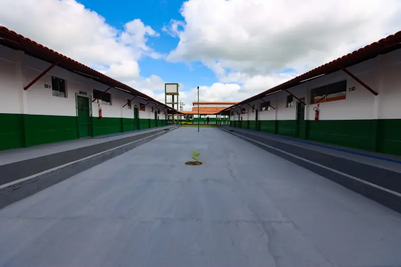  <div class='credito_fotos'>Foto: Bruno Cruz / Ag. Pará &nbsp;&nbsp;|&nbsp;&nbsp; <a href='/midias/2025/originais/20250403122351-GF00023377-F00389936.jpg' download><i class='fa-solid fa-download'></i> Download</a></div>