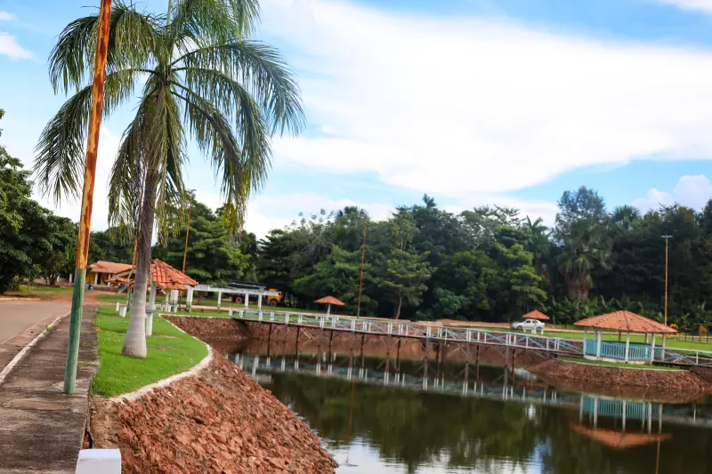  <div class='credito_fotos'>Foto: Bruno Cruz / Ag. Pará &nbsp;&nbsp;|&nbsp;&nbsp; <a href='/midias/2025/originais/20250403122525-GF00023377-F00389996.jpg' download><i class='fa-solid fa-download'></i> Download</a></div>