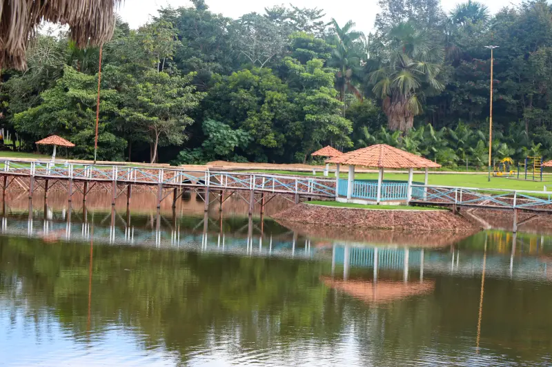  <div class='credito_fotos'>Foto: Bruno Cruz / Ag. Pará &nbsp;&nbsp;|&nbsp;&nbsp; <a href='/midias/2025/originais/20250403122528-GF00023377-F00389998.jpg' download><i class='fa-solid fa-download'></i> Download</a></div>