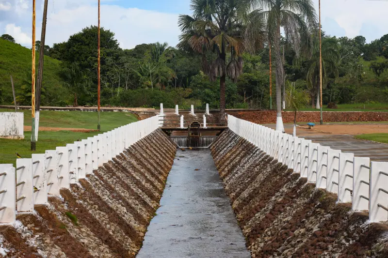  <div class='credito_fotos'>Foto: Bruno Cruz / Ag. Pará &nbsp;&nbsp;|&nbsp;&nbsp; <a href='/midias/2025/originais/20250403122531-GF00023377-F00390000.jpg' download><i class='fa-solid fa-download'></i> Download</a></div>