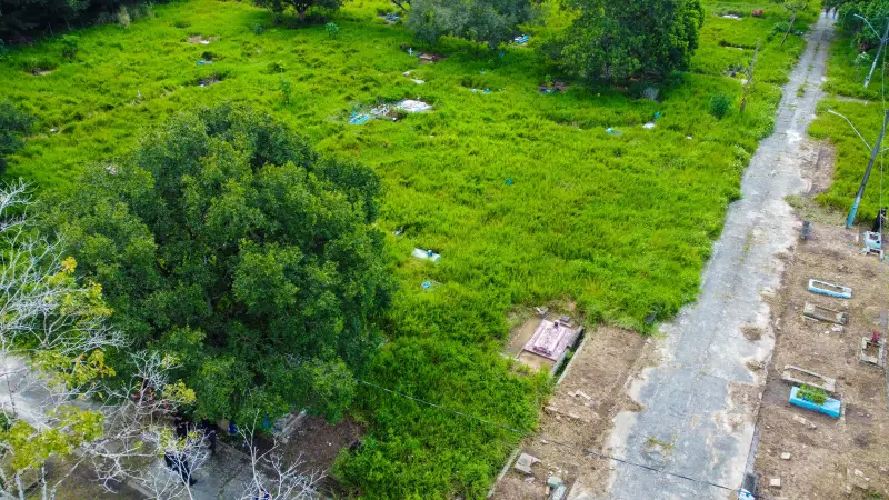 DCIM\100MEDIA\DJI_0323.JPG <div class='credito_fotos'>Foto: Vinicius Pinto / Ag. Pará &nbsp;&nbsp;|&nbsp;&nbsp; <a href='/midias/2025/originais/20250403174519-GF00023385-F00390248.jpg' download><i class='fa-solid fa-download'></i> Download</a></div>