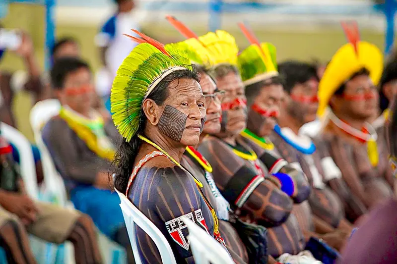  <div class='credito_fotos'>Foto: Wellyngton Coelho / Ag.Pará &nbsp;&nbsp;|&nbsp;&nbsp; <a href='/midias/2025/originais/20250403200041-GF00023387-F00390278.jpg' download><i class='fa-solid fa-download'></i> Download</a></div>