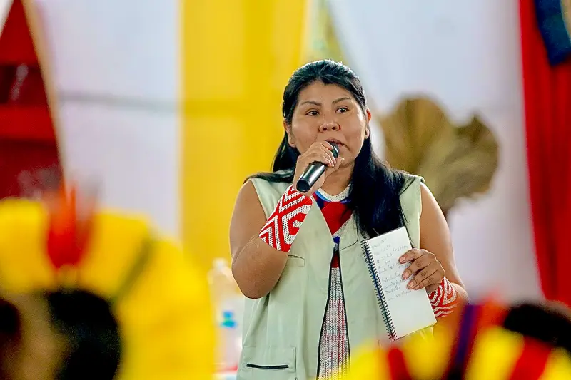 OÉ PAIKAN KAIAPÓ - Coordenadora da Coordenação Regional Kayapó Sul do Pará <div class='credito_fotos'>Foto: Wellyngton Coelho / Ag.Pará &nbsp;&nbsp;|&nbsp;&nbsp; <a href='/midias/2025/originais/20250404195233-GF00023396-F00390720.jpg' download><i class='fa-solid fa-download'></i> Download</a></div>