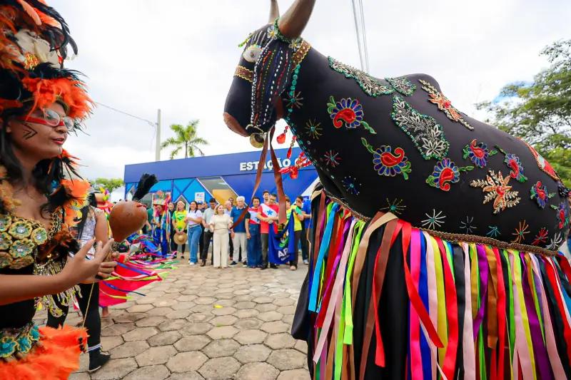 <div class='credito_fotos'>Foto: Bruno Cruz / Ag. Pará &nbsp;&nbsp;|&nbsp;&nbsp; <a href='/midias/2025/originais/20250405133121-GF00023411-F00391067.jpg' download><i class='fa-solid fa-download'></i> Download</a></div>