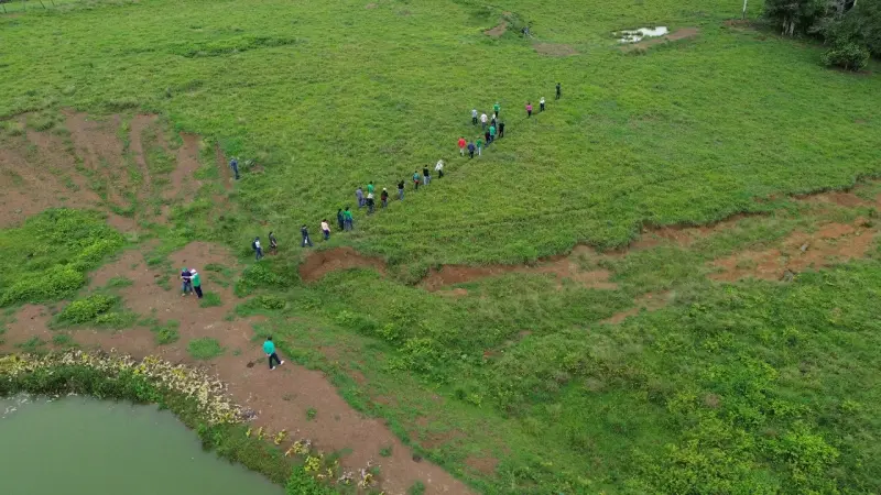 Fazenda Belo Horizonte  Rodovia Transamazônica, sentido Altamira/ Brasil Novo.  Município de Altamira