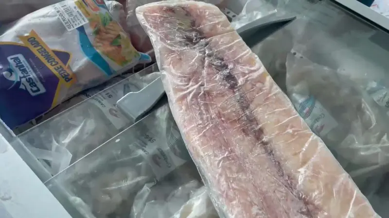 A feira do Pescado terá a venda de todos os tipos de pescado: do beneficiado ao peixe de cultivo.