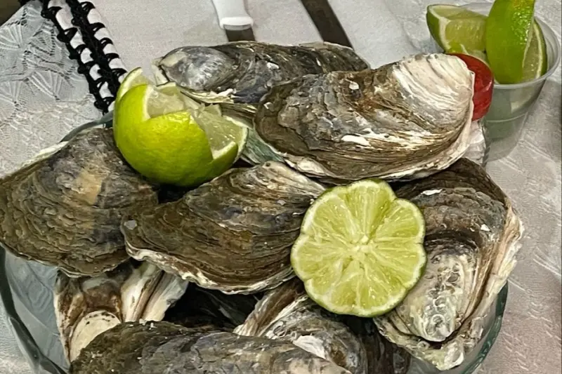 As ostras estão entre os produtos mais procurados na programação promovida pela Sedap