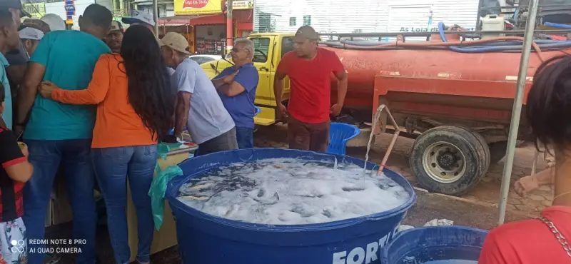 Em Breu Branco o pescado de cultivo foi um dos mais procurados