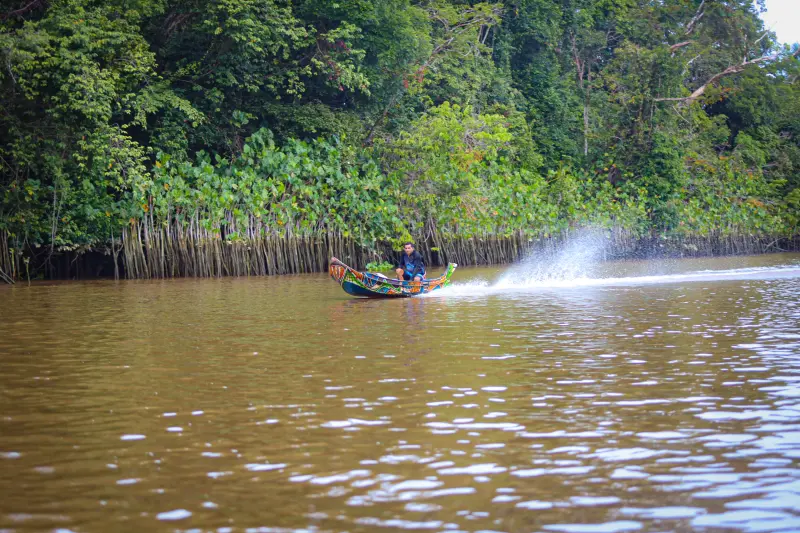  <div class='credito_fotos'>Foto: Bruno Cruz / Ag. Pará &nbsp;&nbsp;|&nbsp;&nbsp; <a href='/midias/2025/originais/20250423140942-GF00023533-F00396232.jpg' download><i class='fa-solid fa-download'></i> Download</a></div>