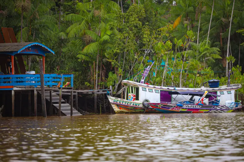  <div class='credito_fotos'>Foto: Bruno Cruz / Ag. Pará &nbsp;&nbsp;|&nbsp;&nbsp; <a href='/midias/2025/originais/20250423140946-GF00023533-F00396234.jpg' download><i class='fa-solid fa-download'></i> Download</a></div>