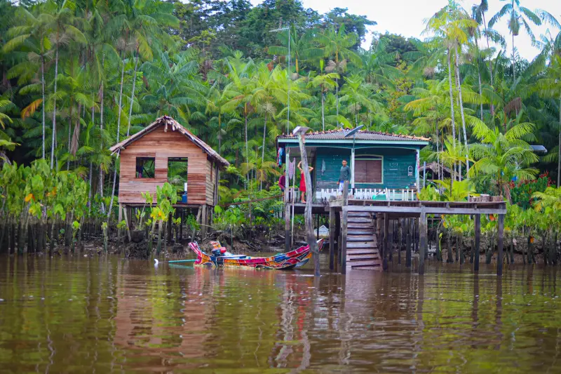  <div class='credito_fotos'>Foto: Bruno Cruz / Ag. Pará &nbsp;&nbsp;|&nbsp;&nbsp; <a href='/midias/2025/originais/20250423140951-GF00023533-F00396237.jpg' download><i class='fa-solid fa-download'></i> Download</a></div>