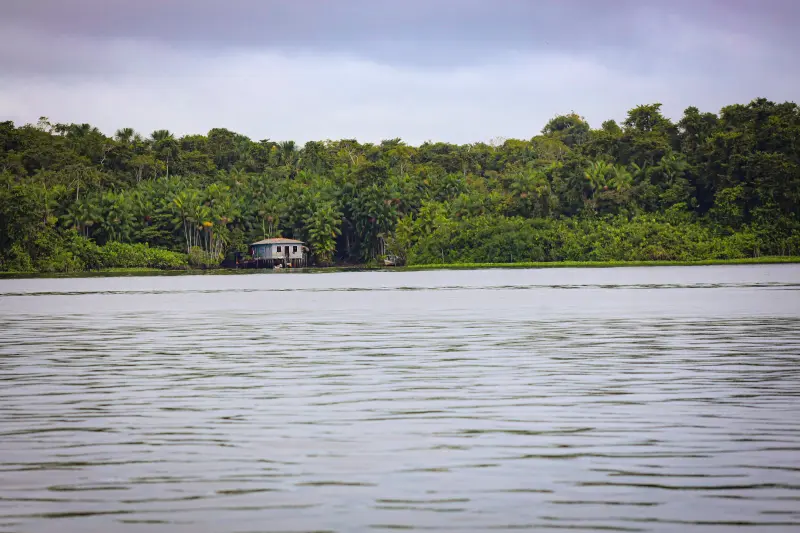  <div class='credito_fotos'>Foto: Bruno Cruz / Ag. Pará &nbsp;&nbsp;|&nbsp;&nbsp; <a href='/midias/2025/originais/20250423141001-GF00023533-F00396243.jpg' download><i class='fa-solid fa-download'></i> Download</a></div>