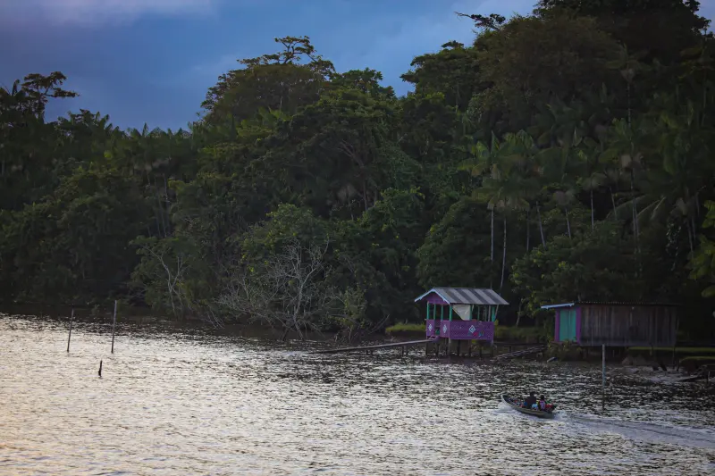 <div class='credito_fotos'>Foto: Bruno Cruz / Ag. Pará &nbsp;&nbsp;|&nbsp;&nbsp; <a href='/midias/2025/originais/20250423141052-GF00023533-F00396276.jpg' download><i class='fa-solid fa-download'></i> Download</a></div>