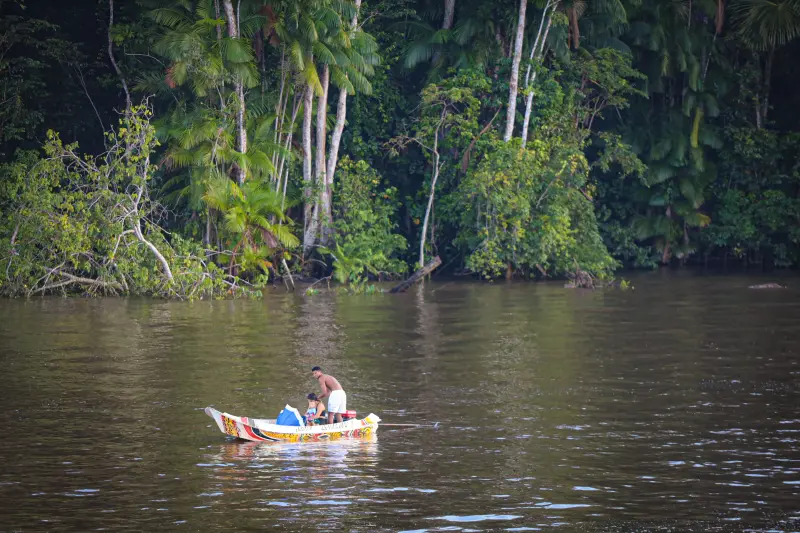  <div class='credito_fotos'>Foto: Bruno Cruz / Ag. Pará &nbsp;&nbsp;|&nbsp;&nbsp; <a href='/midias/2025/originais/20250423141059-GF00023533-F00396280.jpg' download><i class='fa-solid fa-download'></i> Download</a></div>