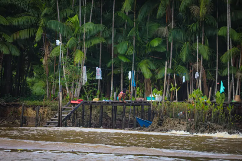  <div class='credito_fotos'>Foto: Bruno Cruz / Ag. Pará &nbsp;&nbsp;|&nbsp;&nbsp; <a href='/midias/2025/originais/20250423141110-GF00023533-F00396287.jpg' download><i class='fa-solid fa-download'></i> Download</a></div>