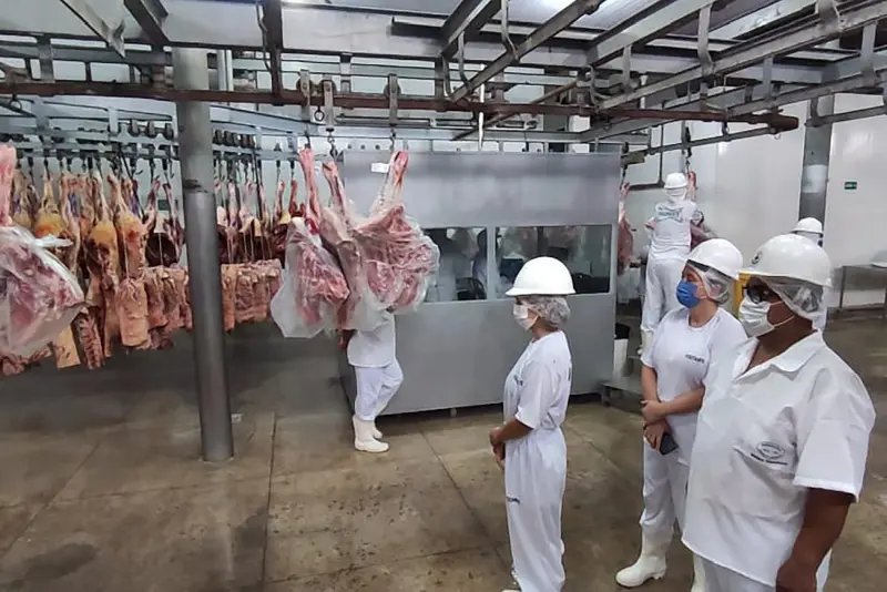 O grupo  de carnes aparece entre os três segmentos que impulsionaram a pauta de exportação do agro paraense