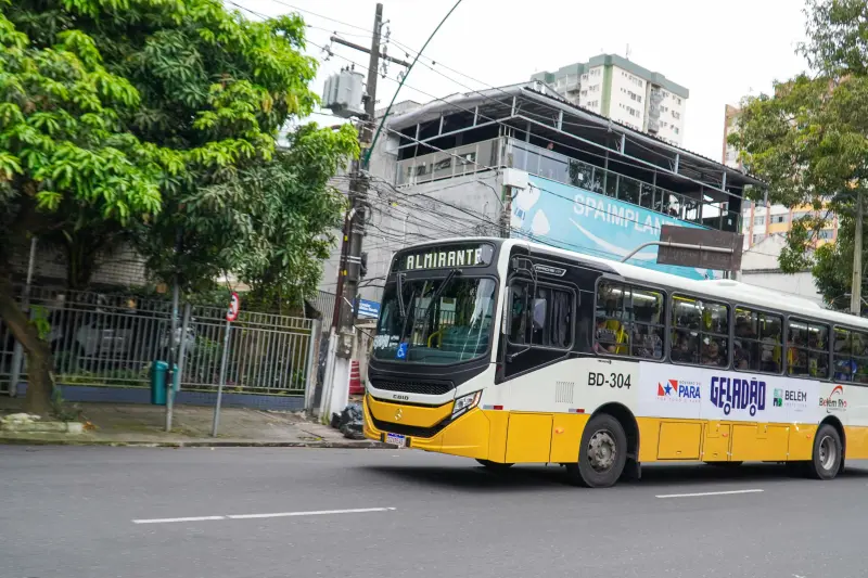  <div class='credito_fotos'>Foto: Alexandre Costa / Ag. Pará &nbsp;&nbsp;|&nbsp;&nbsp; <a href='/midias/2025/originais/20250425173606-GF00023560-F00397232.jpg' download><i class='fa-solid fa-download'></i> Download</a></div>