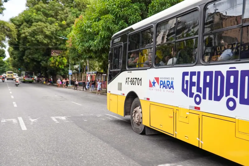  <div class='credito_fotos'>Foto: Alexandre Costa / Ag. Pará &nbsp;&nbsp;|&nbsp;&nbsp; <a href='/midias/2025/originais/20250425173628-GF00023560-F00397242.jpg' download><i class='fa-solid fa-download'></i> Download</a></div>