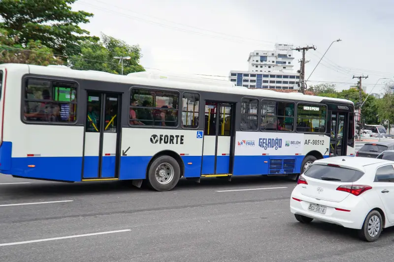  <div class='credito_fotos'>Foto: Alexandre Costa / Ag. Pará &nbsp;&nbsp;|&nbsp;&nbsp; <a href='/midias/2025/originais/20250425173631-GF00023560-F00397243.jpg' download><i class='fa-solid fa-download'></i> Download</a></div>