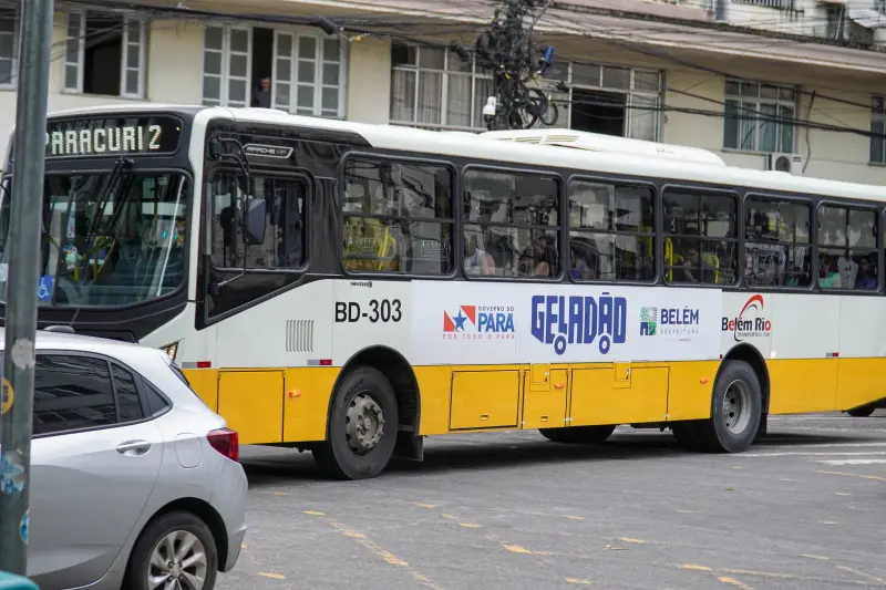  <div class='credito_fotos'>Foto: Alexandre Costa / Ag. Pará &nbsp;&nbsp;|&nbsp;&nbsp; <a href='/midias/2025/originais/20250425173655-GF00023560-F00397254.jpg' download><i class='fa-solid fa-download'></i> Download</a></div>